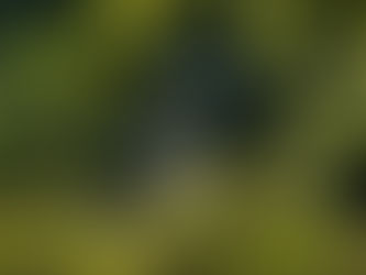 A Sense of Well Being