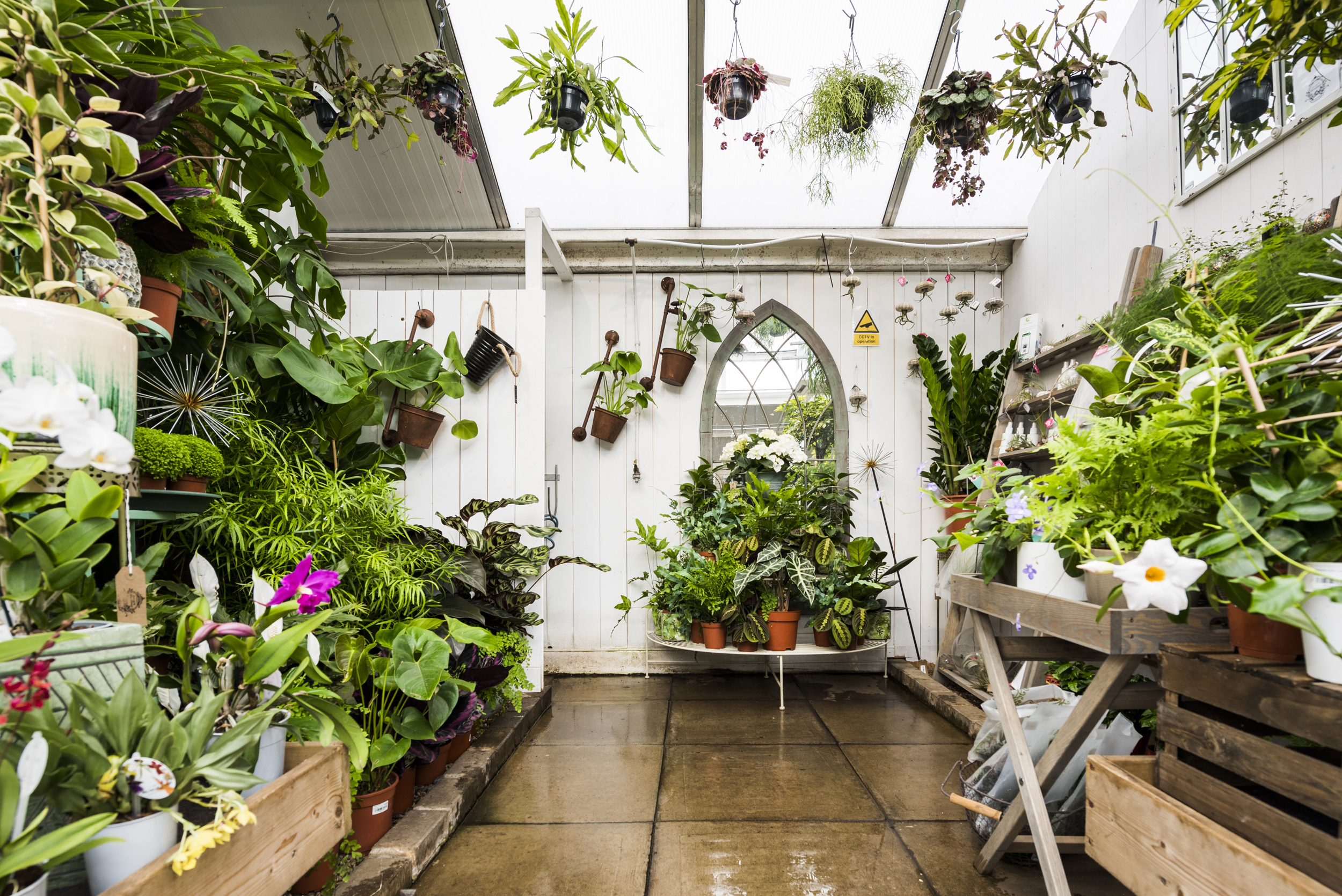 The Palace Gardener | Fulham Palace Road