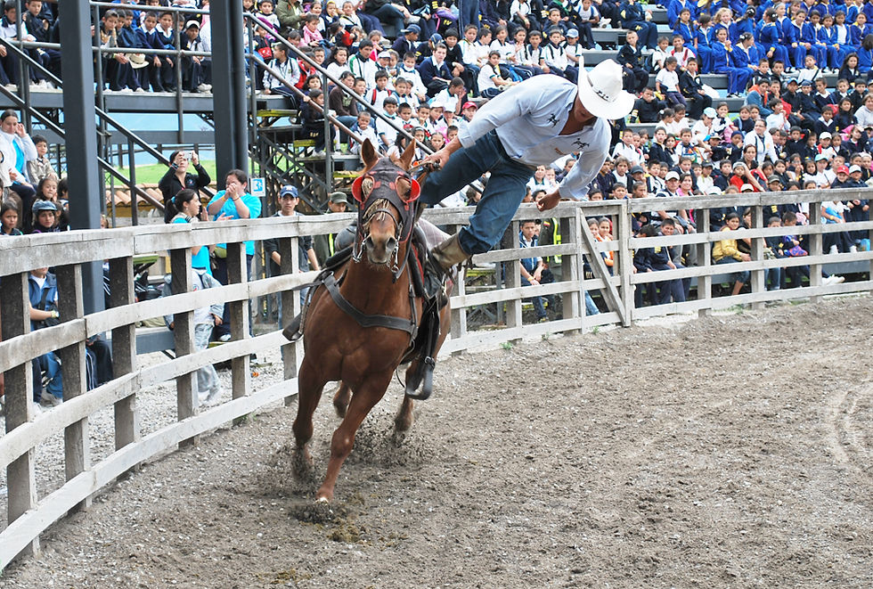 vaquero1.jpg
