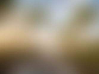 I Think I Need a Beach… Immediately