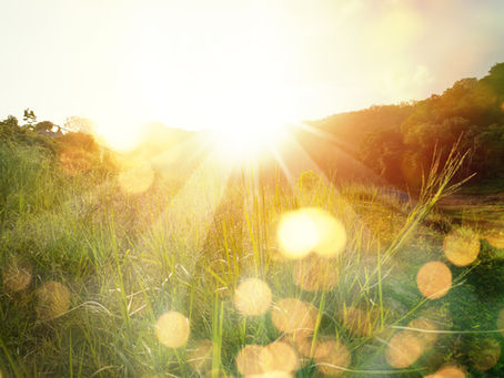 Anyone Else Just Needing Sunshine?