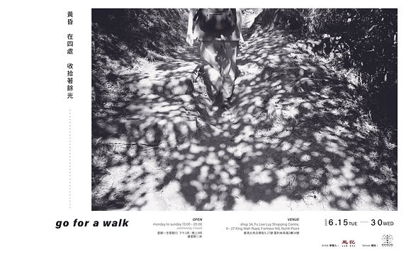 go for a walk-final poster.jpg