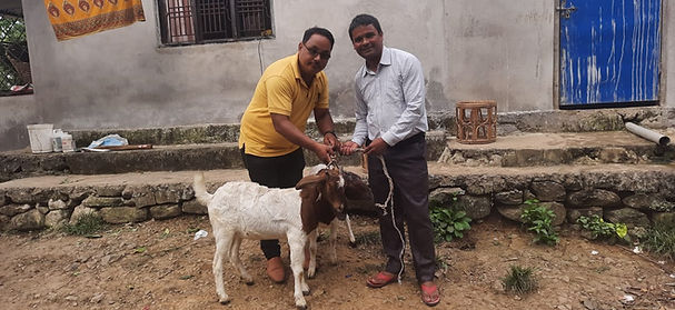 Goat Ministries.jpg