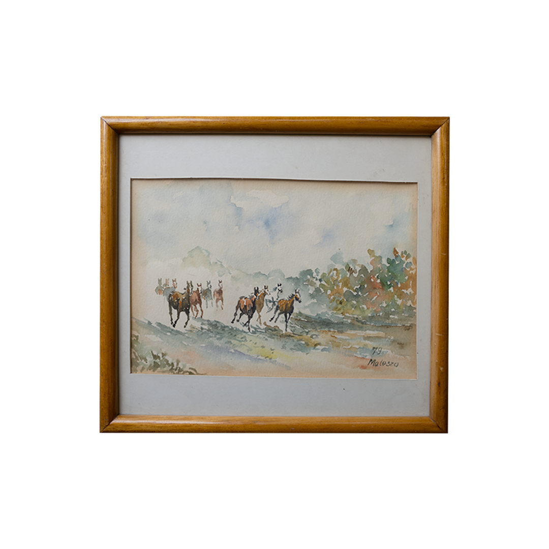 Wildhorses by Mikolaj Malesza