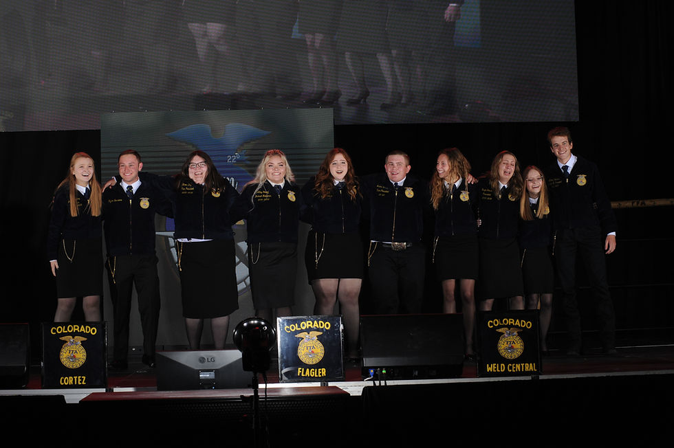 D104380 FFA 588