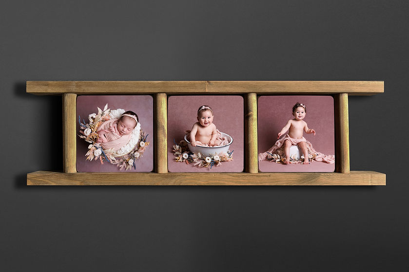 ladder all 3.jpg