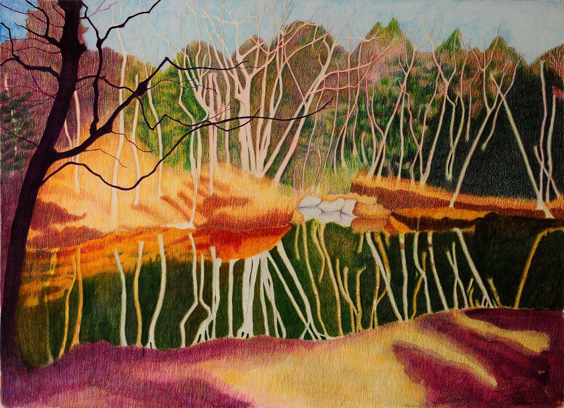 ADIRONDACK POND