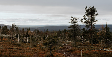 Tiia & Jukka-117.jpg