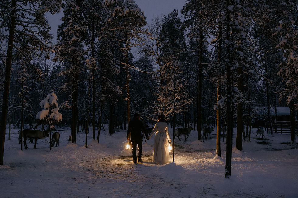 wedding couple in a reindeer farm in Lapland
