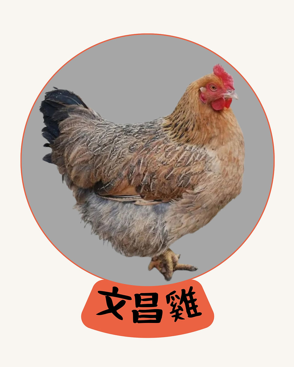 本地文昌雞 (三斤) (預訂)