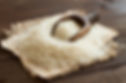 products-rice-bg-1024x670.jpg