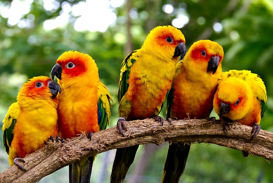 iStock_000051613746_Medium.jpg