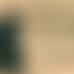 Volume 1, Number 5: November 4-November 10, 1971