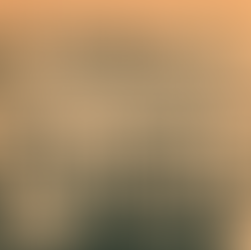 Volume 4, Number 24: March 21, 1975 - March 28, 1975