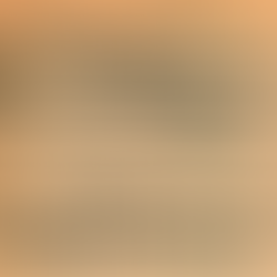 Volume 5, Number 3: October 17, 1975 - October 24, 1975