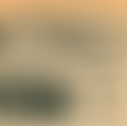 Volume 5, Number 6: November 7, 1975 - November 14, 1975