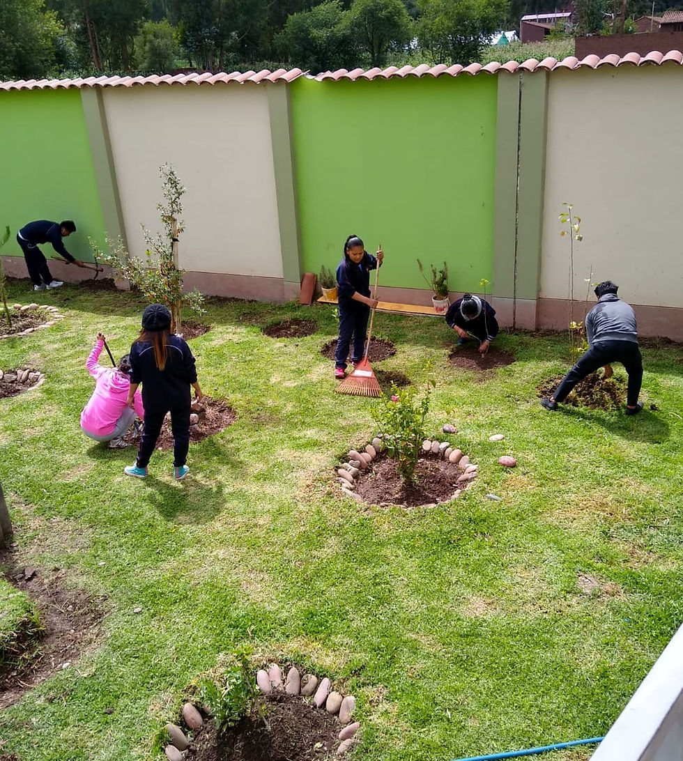 ACTIVIDAD MEDIO AMBIENTE