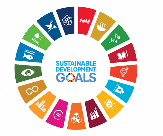 SDG Circle.png