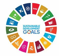 SDG Circle.png