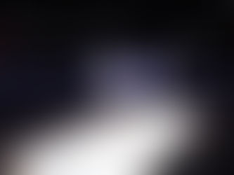 Stupid Canadian Wolf Bird