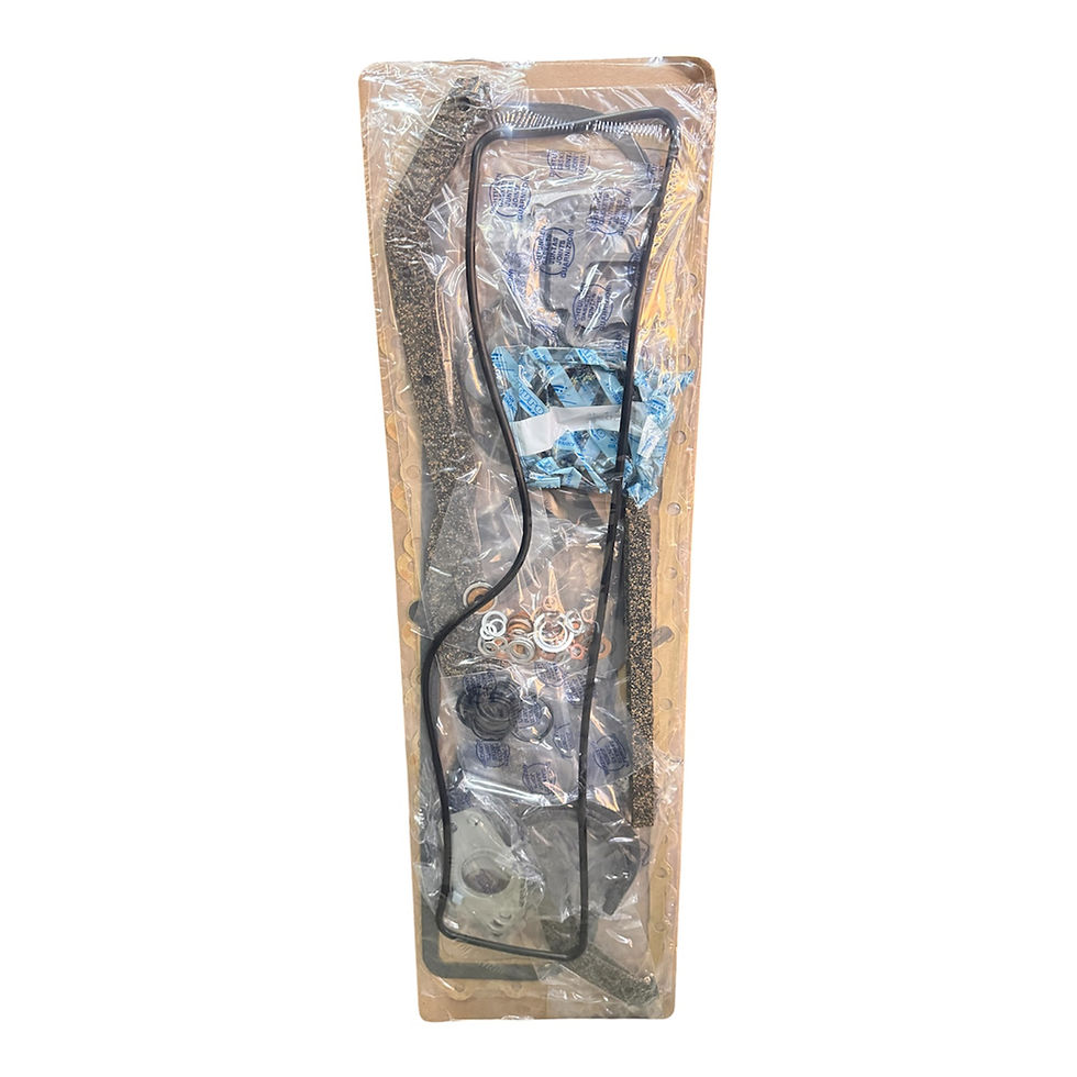 Kit de empaquetadura completa para Mercedes Benz OM366A/LA