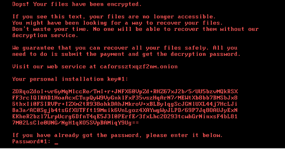 Bad Rabbit | New Ransomware attack rapidly spreading the Cyber world.