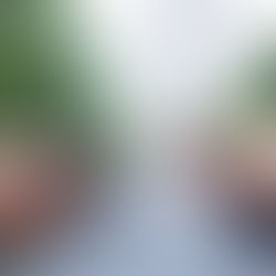 The Psychology of Payments: How Remflow Enhances the User Experience