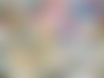 Navigating Argentina's Economy: Impact on Cross-Border Business Operations