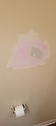 Repair drywall