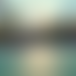 Elevate Your Game with West Coast Jets Basketball