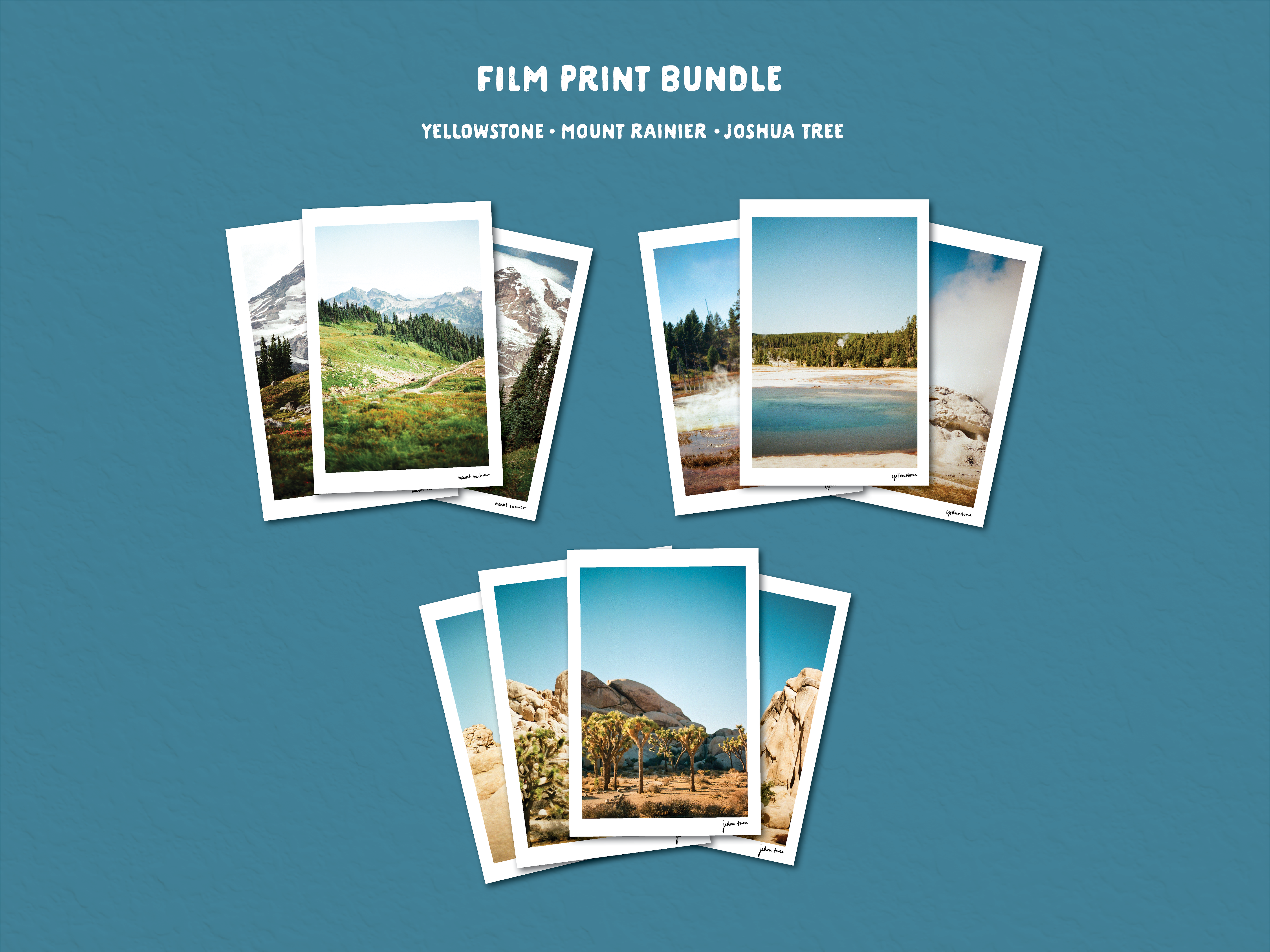 Film Print Bundle