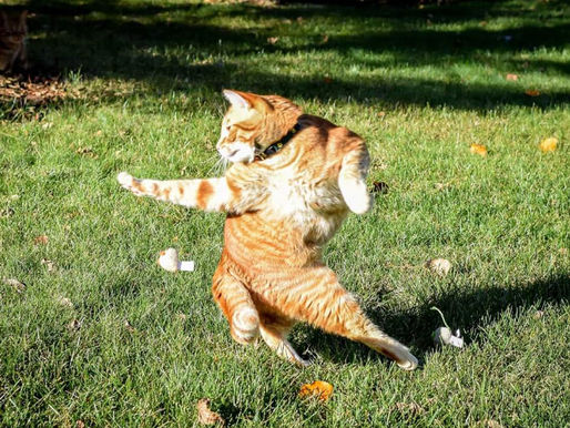 Home practice – why do I find it so difficult?