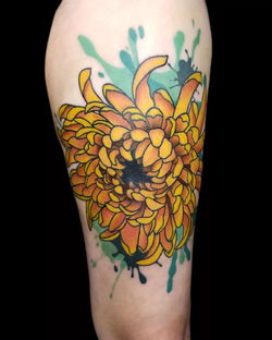 Chrysanthemum Splatter