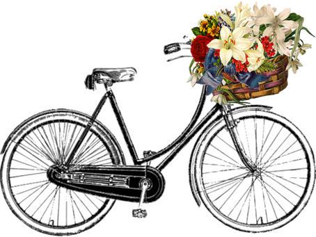 Bisiklet Çeşitleri ve Kullanım Alanları