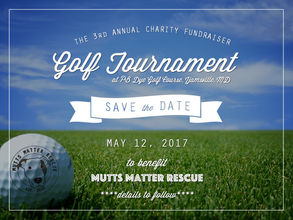 2017 Charity Golf Tournament