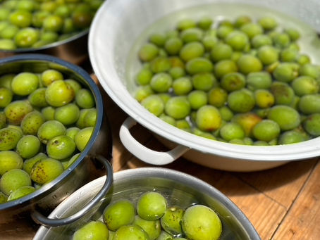 手しごと class 6月