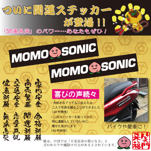 モモソニうさんくさい広告.jpg