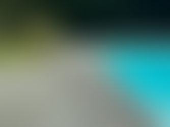 Beautiful concrete art pool deck resurfacing done by RenuKrete artisans