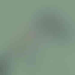 Lunettes MALt avec branches en bois collection homme opticien Laeken Bruxelles