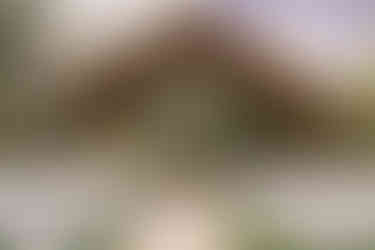 Florida wedding ceremony