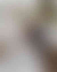 bride and groom portraits