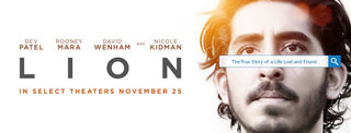 Lion : Critique comparée