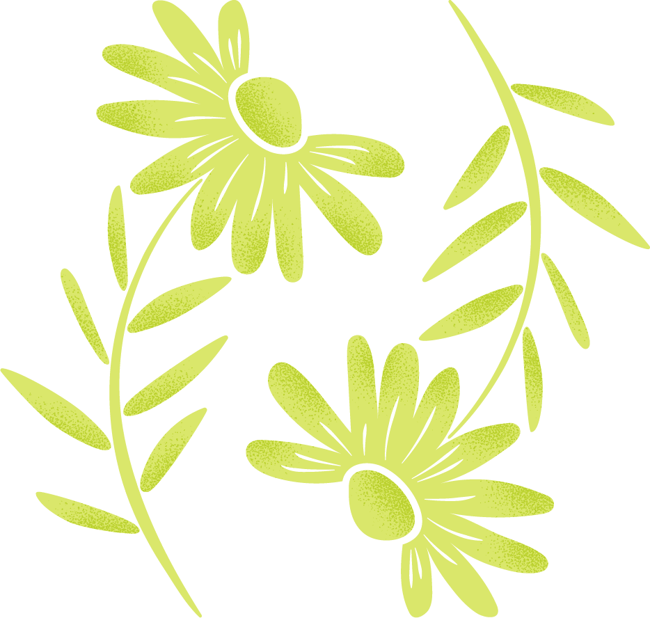R=218 G=231 B=107-6_edited.png