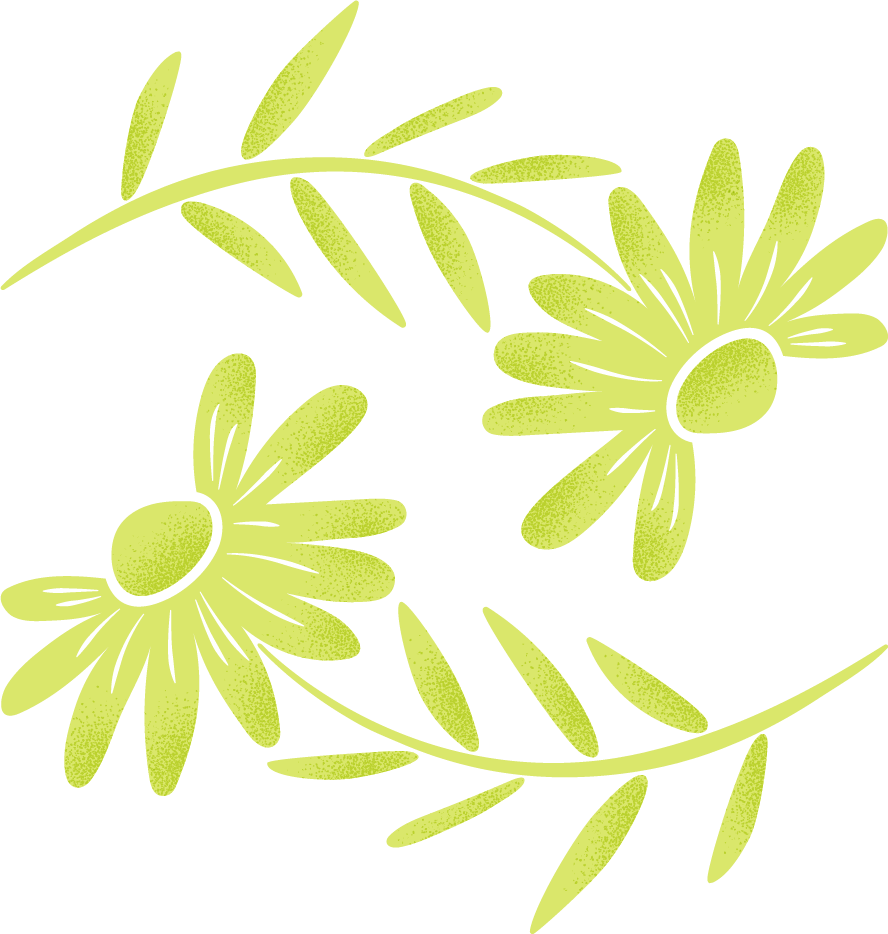 R=218 G=231 B=107-6_edited.png