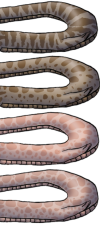 ree