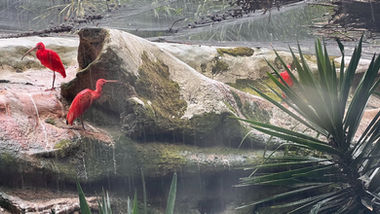 Castellar_Zoo_Trip_April_2022_22.jpeg