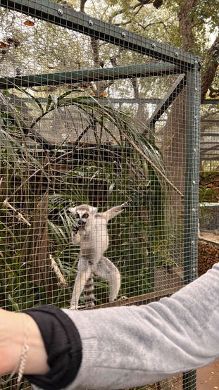 Castellar_Zoo_Trip_April_2022_24.jpeg