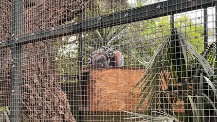 Castellar_Zoo_Trip_April_2022_23.jpeg
