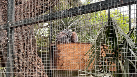 Castellar_Zoo_Trip_April_2022_23.jpeg