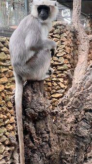 Castellar_Zoo_Trip_April_2022_21.jpeg